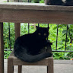 Meet your Posher, Eva